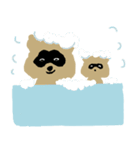 Pompon raccoon（個別スタンプ：12）