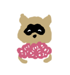 Pompon raccoon（個別スタンプ：26）