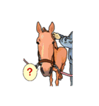 乗馬な暮らし（個別スタンプ：11）