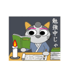 猫侍（個別スタンプ：10）