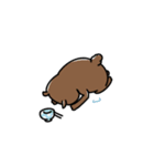 あずきアイズ。（個別スタンプ：23）