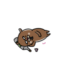 あずきアイズ。（個別スタンプ：24）
