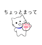 星ネコ（個別スタンプ：23）