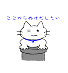 星ネコ（個別スタンプ：28）