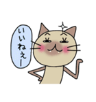 ねここ2（個別スタンプ：1）