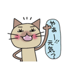 ねここ2（個別スタンプ：36）