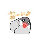 たまごぶんちょう（個別スタンプ：2）