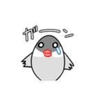 たまごぶんちょう（個別スタンプ：5）