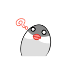 たまごぶんちょう（個別スタンプ：6）