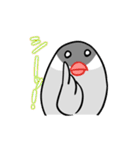 たまごぶんちょう（個別スタンプ：23）