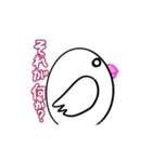 たまごぶんちょう（個別スタンプ：24）