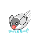 たまごぶんちょう（個別スタンプ：37）