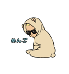 サングラスベイビー（日本語版）（個別スタンプ：5）