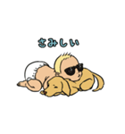 サングラスベイビー（日本語版）（個別スタンプ：14）