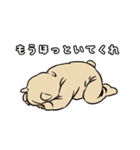 サングラスベイビー（日本語版）（個別スタンプ：21）
