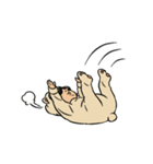サングラスベイビー（日本語版）（個別スタンプ：40）