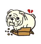 we love bulldog（個別スタンプ：15）