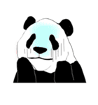 the stamp of PANDA（個別スタンプ：5）