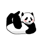 the stamp of PANDA（個別スタンプ：19）