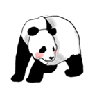 the stamp of PANDA（個別スタンプ：20）