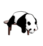 the stamp of PANDA（個別スタンプ：21）