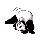 the stamp of PANDA（個別スタンプ：30）