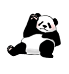 the stamp of PANDA（個別スタンプ：40）