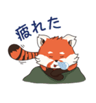 Little Tipsy the Red Panda（個別スタンプ：7）