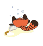 Little Tipsy the Red Panda（個別スタンプ：17）