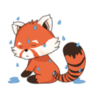 Little Tipsy the Red Panda（個別スタンプ：24）