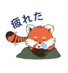 Little Tipsy the Red Panda（個別スタンプ：29）