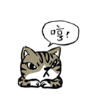 Meow life（個別スタンプ：15）