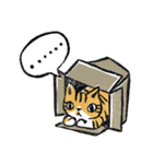 Meow life（個別スタンプ：33）