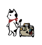 Meow life（個別スタンプ：37）