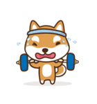 Mango girl 2(Shiba lnu)（個別スタンプ：34）