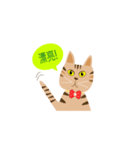 pineapple cat（個別スタンプ：3）