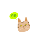 pineapple cat（個別スタンプ：6）