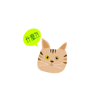 pineapple cat（個別スタンプ：8）