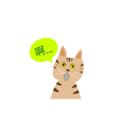 pineapple cat（個別スタンプ：13）