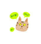 pineapple cat（個別スタンプ：16）