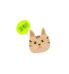 pineapple cat（個別スタンプ：18）