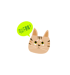 pineapple cat（個別スタンプ：20）