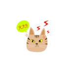 pineapple cat（個別スタンプ：23）