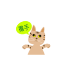 pineapple cat（個別スタンプ：30）