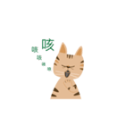 pineapple cat（個別スタンプ：36）