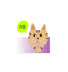 pineapple cat（個別スタンプ：40）