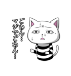 ネガティブ猫。（個別スタンプ：13）