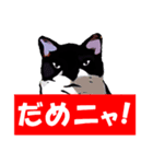 ひょうきんな野良猫（個別スタンプ：8）