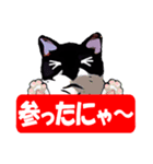 ひょうきんな野良猫（個別スタンプ：9）