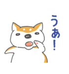 柴犬シバタロの日常（個別スタンプ：21）